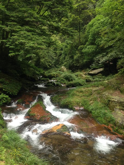 2-Day Classic Zhangjiajie Tour Including Tickets - Participant Restrictions