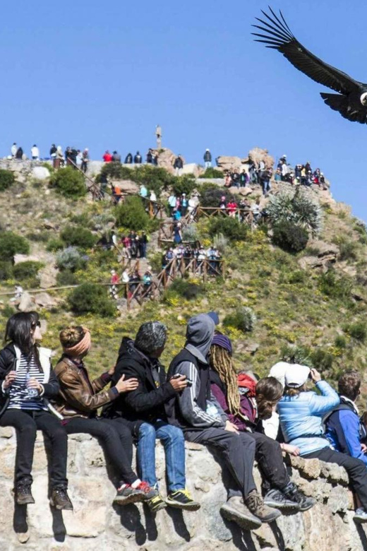 2-Day Colca Canyon Group Tour From Arequipa to Puno - Key Points