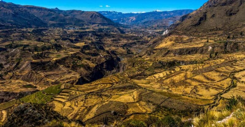 2-Day Colca Canyon Group Tour From Arequipa to Puno - Itinerary Details