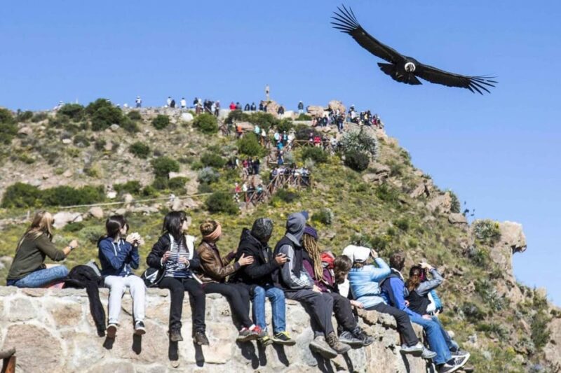2-Day Colca Canyon Group Tour From Arequipa to Puno - Day 2 Itinerary
