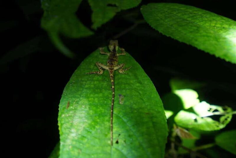 2-Day Cuc Phuong National Park Private Tour From Ha Noi - Inclusions