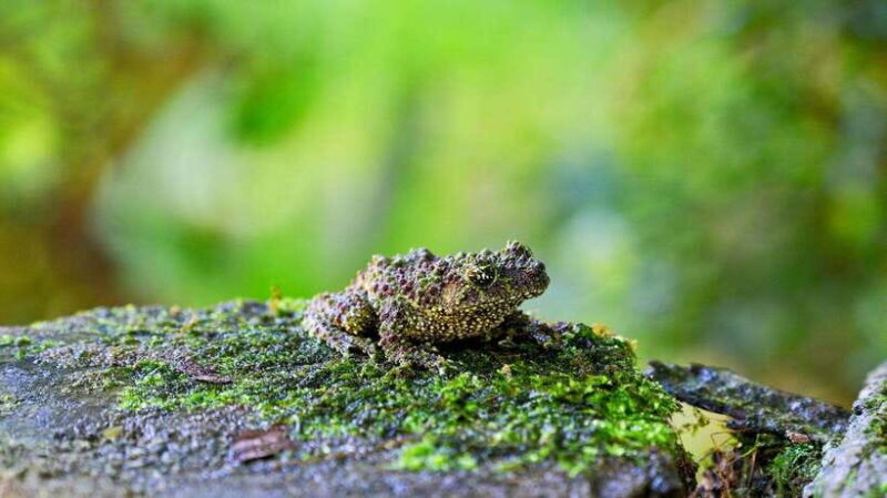 2-Day Cuc Phuong National Park Private Tour From Ha Noi - Important Information