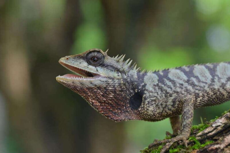 2-Day Cuc Phuong National Park Private Tour From Ha Noi - Pricing and Booking
