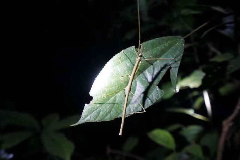 2-Day Cuc Phuong National Park Private Tour From Ha Noi - About Cuc Phuong National Park