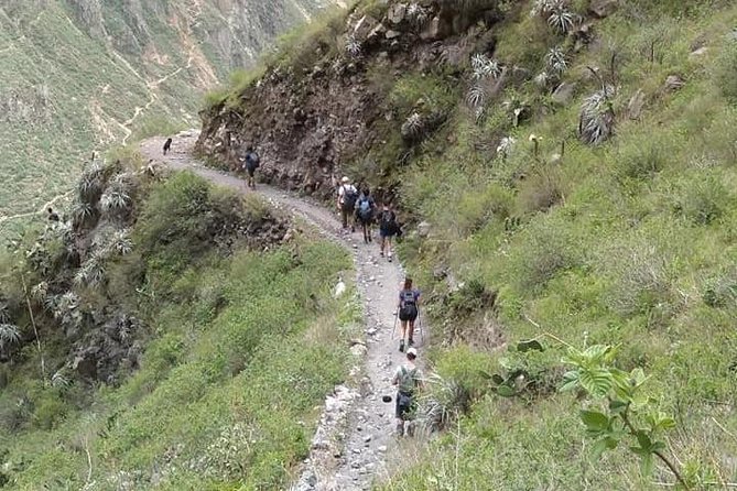 2-Day Custom Colca Canyon Trek From Arequipa - Exploring Colca Canyon
