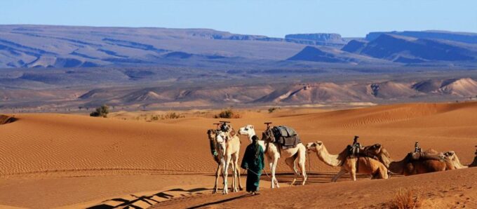 2-Day Desert Tour From Marrakech to Zagora Desert - Pricing and Availability