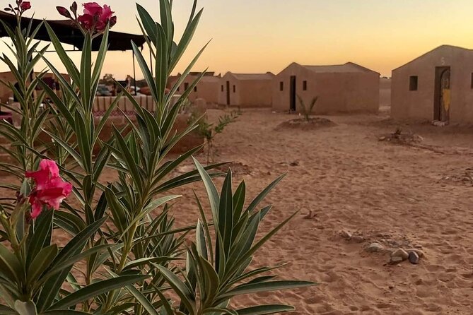 2 Day Desert Tour From Mhamid - Participant Information