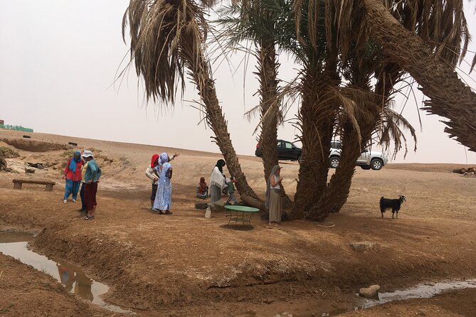 2-Day Erg Chegaga Desert Tour From Mhamid South of Morocco - Key Points