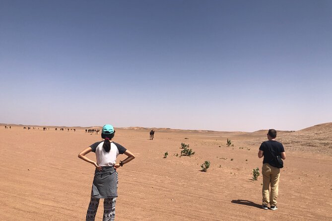 2-Day Erg Chegaga Desert Tour From Mhamid South of Morocco - Inclusions