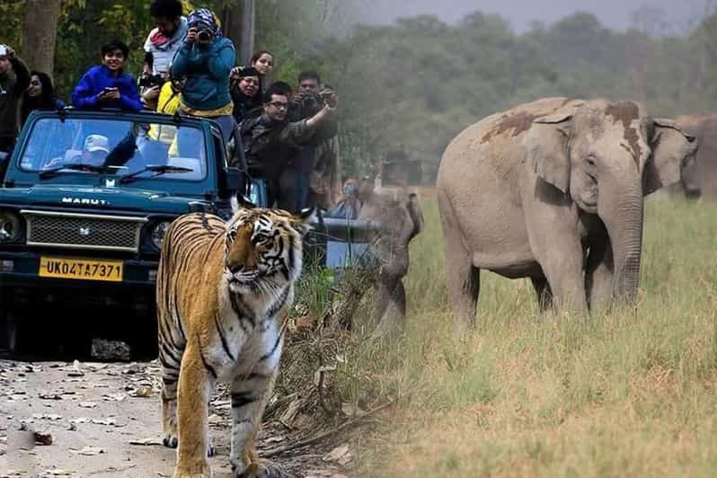 2- Day Excursion to Jim Corbett National Park With Safari - Safari and Activities