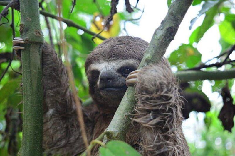 2-Day Excursion to the Magical Amazon - Recommendations and Restrictions