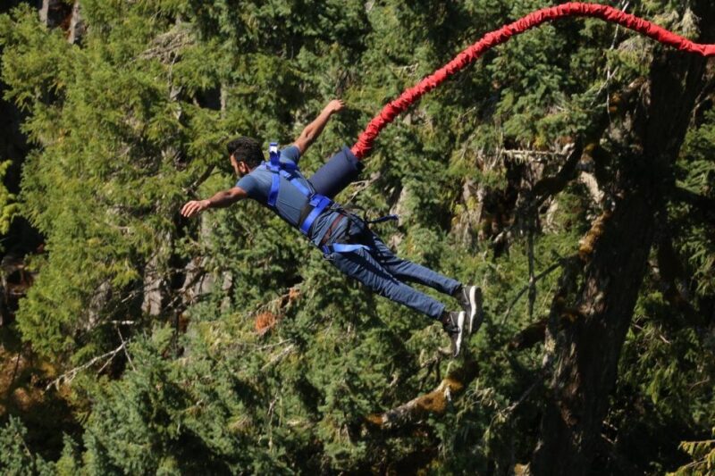 2-Day Garden Route Bungee Jump, Zipline & Shark Diving Tour - Key Points