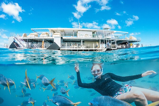2-Day Great Barrier Reef: Reefsleep Experience - Medical and Dietary Requirements