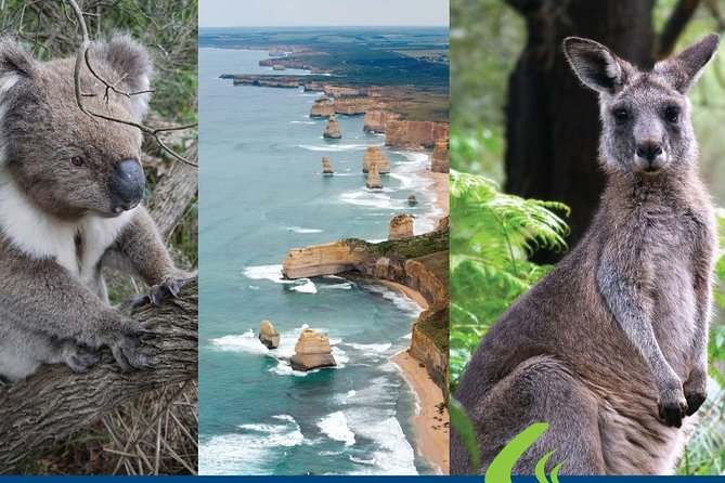 2 Day Great Ocean Road Tour From Melbourne - Additional Information