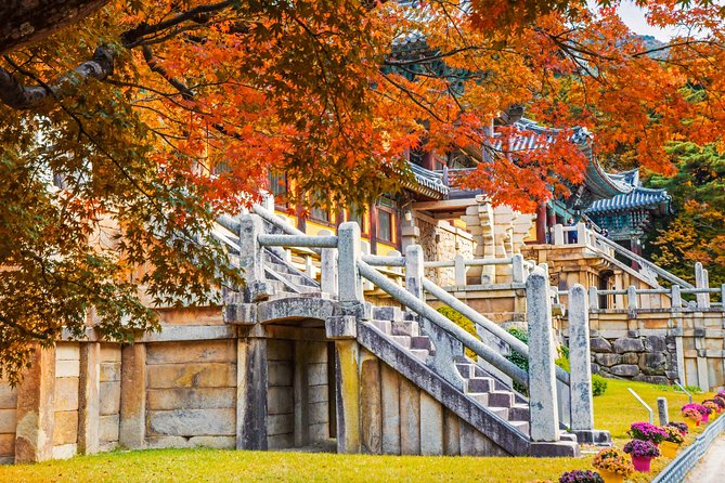 2-Day Gyeongju Rail Tour From Seoul Review - Recap