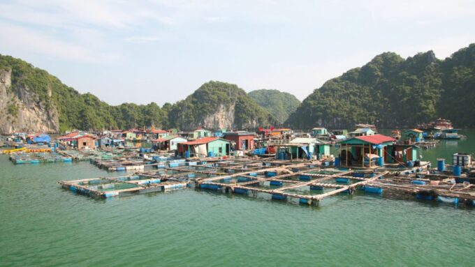 2-Day Ha Long Bay Cruise With Activities - Frequently Asked Questions
