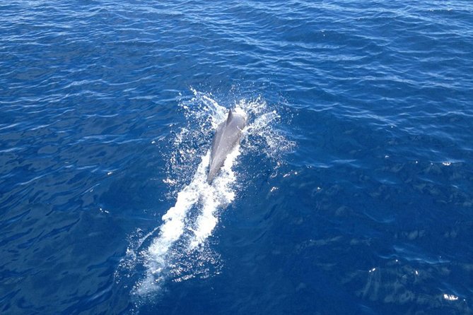 2-Day Halkidiki Sailing Cruise - Cancellation Policy