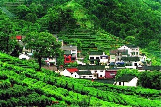 2-Day Hangzhou and Wuzhen Watertown Private Tour From Shanghai - Local Cuisine and Dining