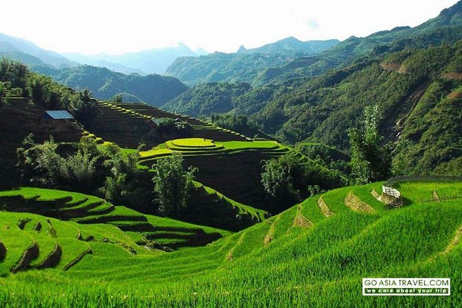 2 Day Hanoi Sapa by Sleeper Bus With Ethnic Homestay and Trekking - Highlights of the Tour