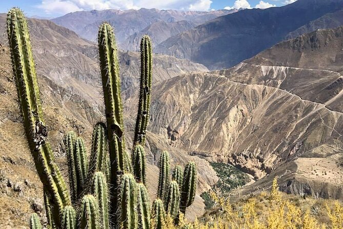 2-Day Hiking Tour to the Colca Canyon - Pricing Information