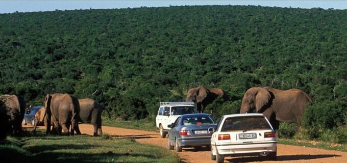 2 Day Hluhluwe Imfolo & Isimangaliso W/Park Tour From Durban - Park Overviews and Features