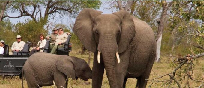 2 Day Hluhluwe Imfolo & Isimangaliso W/Park Tour From Durban - Frequently Asked Questions