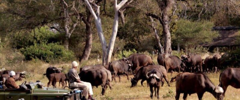 2 Day Hluhluwe Imfolozi & Isimangaliso Tour From Durban - Key Points