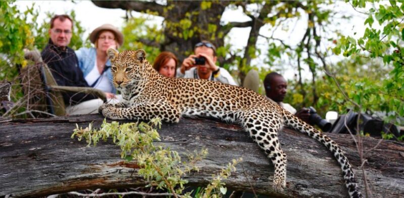 2 Day Hluhluwe Imfolozi & Isimangaliso Tour From Durban - Hluhluwe Imfolozi Game Reserve