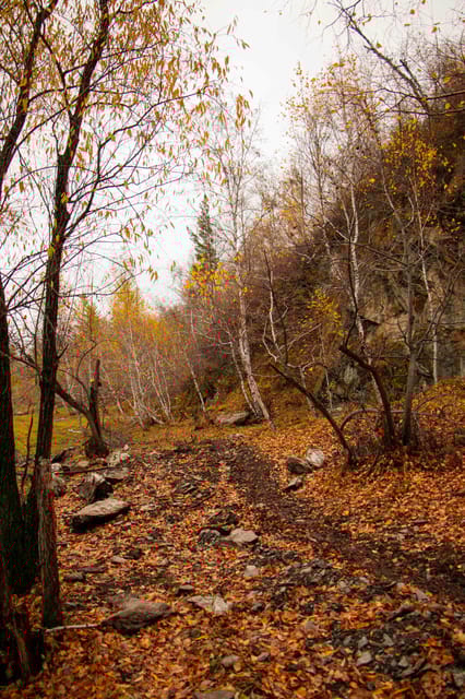 2 Day Horse Trekking in Terelj National Park - Booking and Cancellation