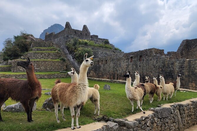 2-Day Inca Trail To Machu Picchu - Daily Itinerary Breakdown