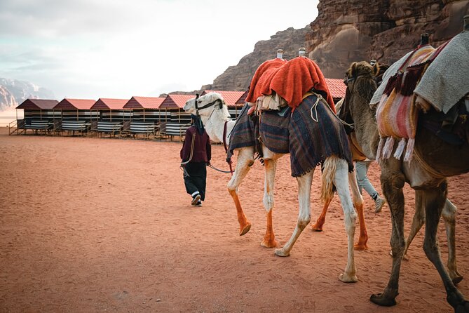 2-Day Jordan Guided Tour Petra, Wadi Rum and Dead Sea - Itinerary Overview