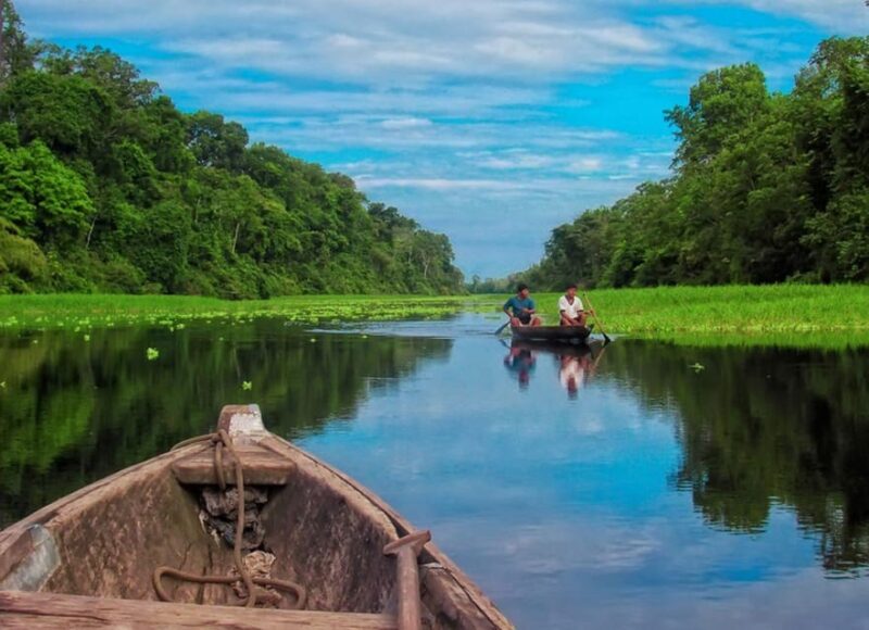 2 Day Jungle Adventure: Monkeys and Night Walk - Wildlife and Nature Experience