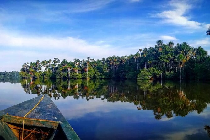 2-Day Jungle Tour: Lake Sandoval, Monkey Island, Hikes, Caiman, & Clay Lick - Customer Reviews