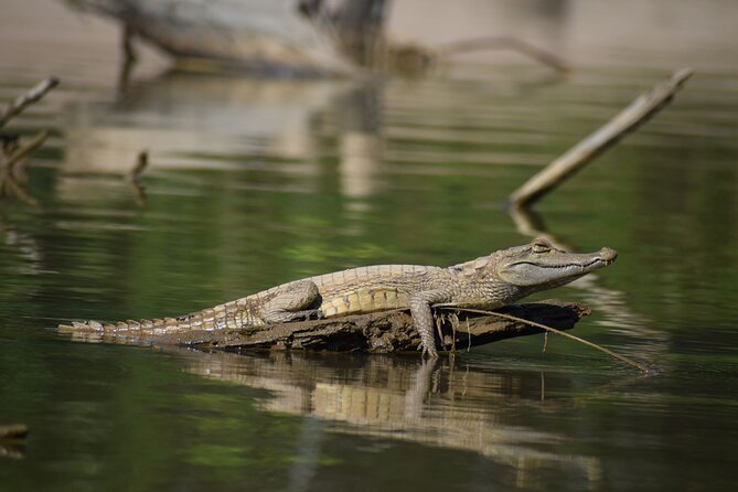 2-Day Jungle Tour: Lake Sandoval, Monkey Island, Hikes, Caiman, & Clay Lick - Pricing and Cancellation