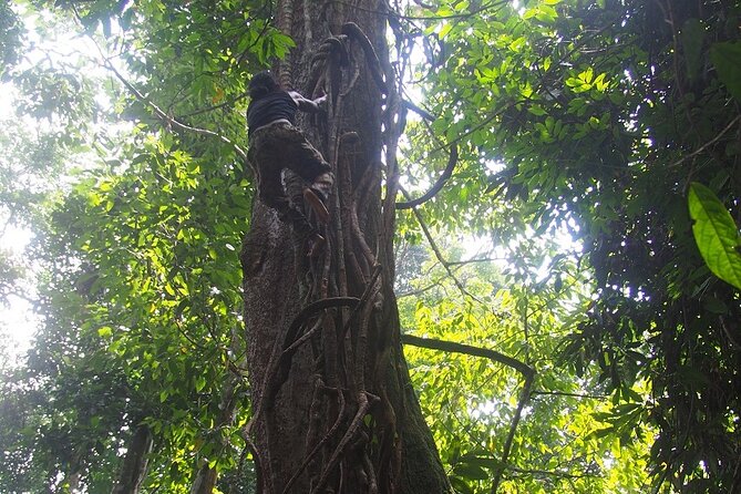 2-Day Jungle Trekking & Rafting in North Sumatra - Preparation and Physical Fitness