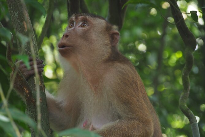 2-Day Jungle Trekking & Rafting in North Sumatra - Private Arrival Arrangements