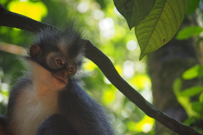2-Day Jungle Trekking & Rafting in North Sumatra - Age Recommendations