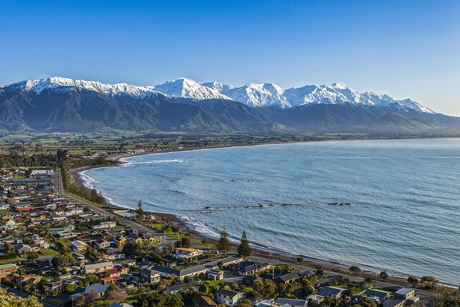 2 Day Kaikoura Whale and Dolphin Tour From Christchurch - Dolphin Encounter Kaikoura Swim