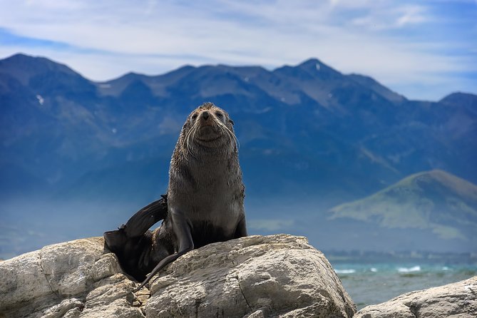 2 Day Kaikoura Whale and Dolphin Tour From Christchurch - Inclusions and Exclusions