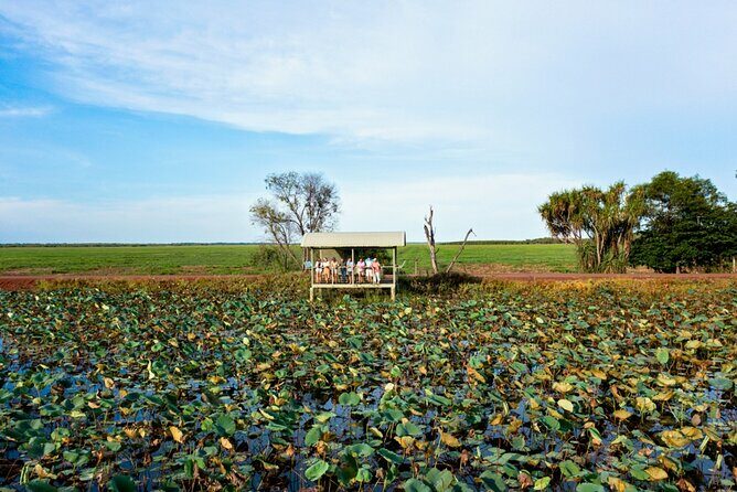 2 Day Kakadu Resort Yellow Water Cruise Comfort Tour from Darwin - Final Thoughts