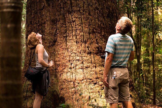 2 Day Kgari Fraser Island Small Group Camping Tour - Frequently Asked Questions