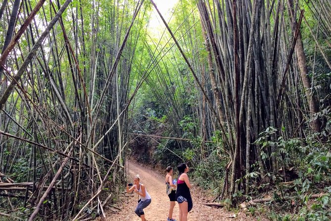 2-Day Khao Sok Jungle Safari From Krabi - Exploring Khao Soks Rainforests