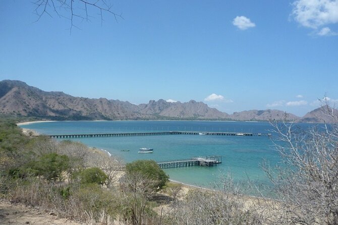 2-Day Komodo National Park and Rinca Island Wildlife Adventure From Bali - Observing Komodo Dragons