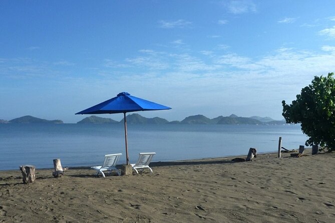 2-Day Komodo National Park and Rinca Island Wildlife Adventure From Bali - Day 2: Return to Labuan Bajo