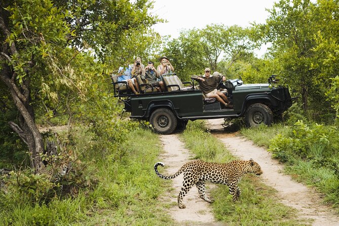 2-Day Kruger National Park Safari From Johannesburg - Safari Experience