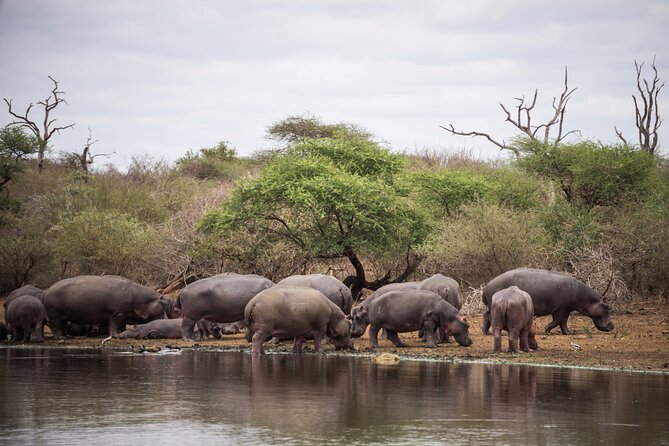 2-Day Kruger National Park Safari From Johannesburg - Logistics