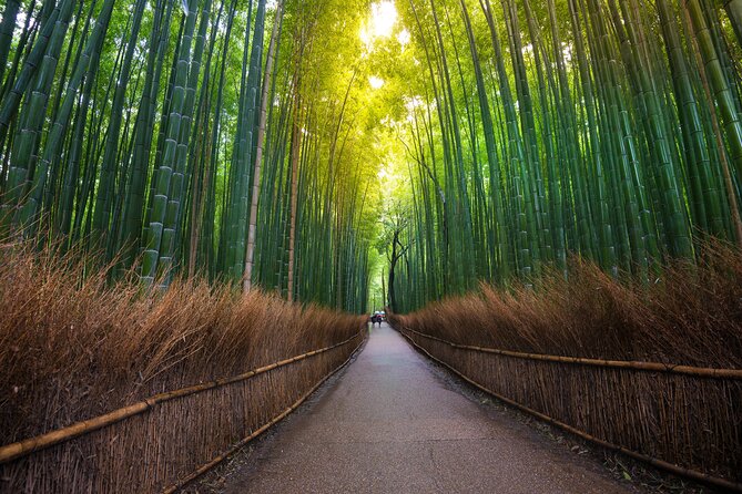 2 Day Kyoto and Nara Tour From Tokyo - Preparing for an Enriching Journey