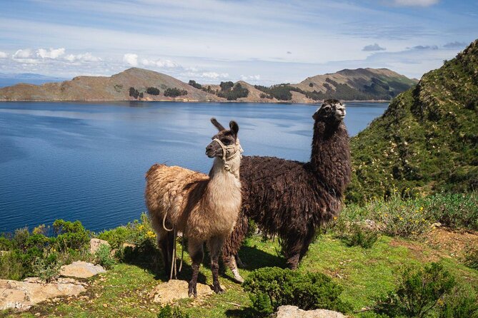 2-Day Lake Titicaca and Sun Island (Isla Del Sol) From La Paz - Feedback and Recommendations