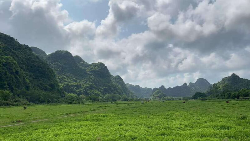 2-Day Lan Ha and Cat Ba Cruise Tour By 3 Star Cruise Ship - Transportation
