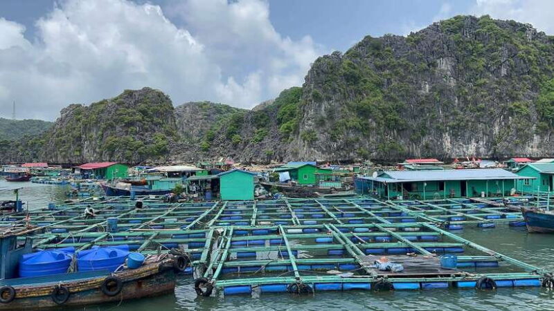 2-Day Lan Ha and Cat Ba Cruise Tour By 3 Star Cruise Ship - Frequently Asked Questions